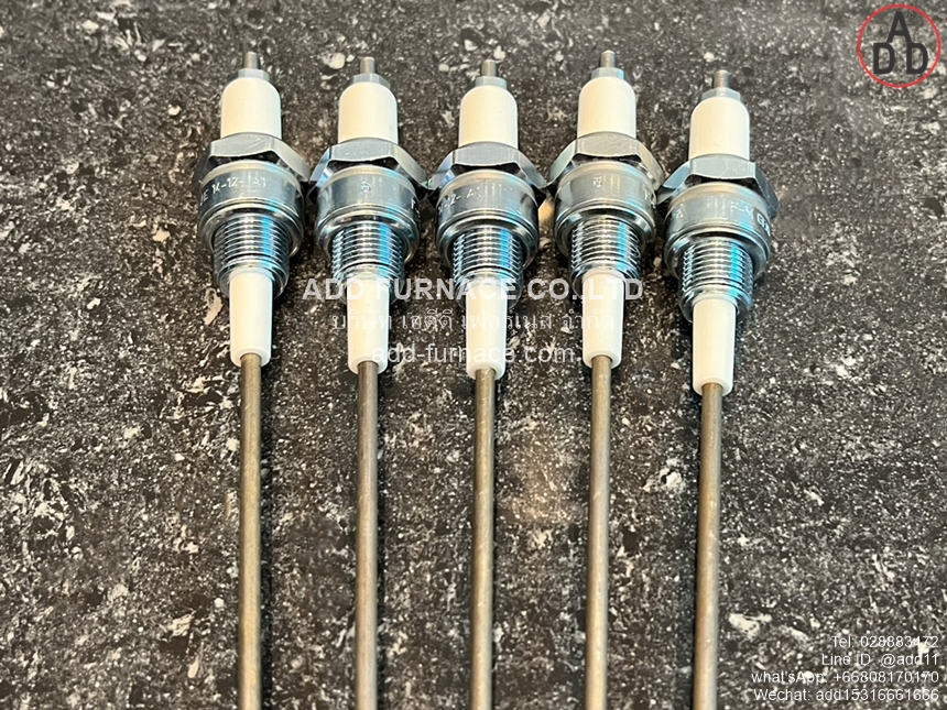 Beru ZE 14-12-300 A1 (2)